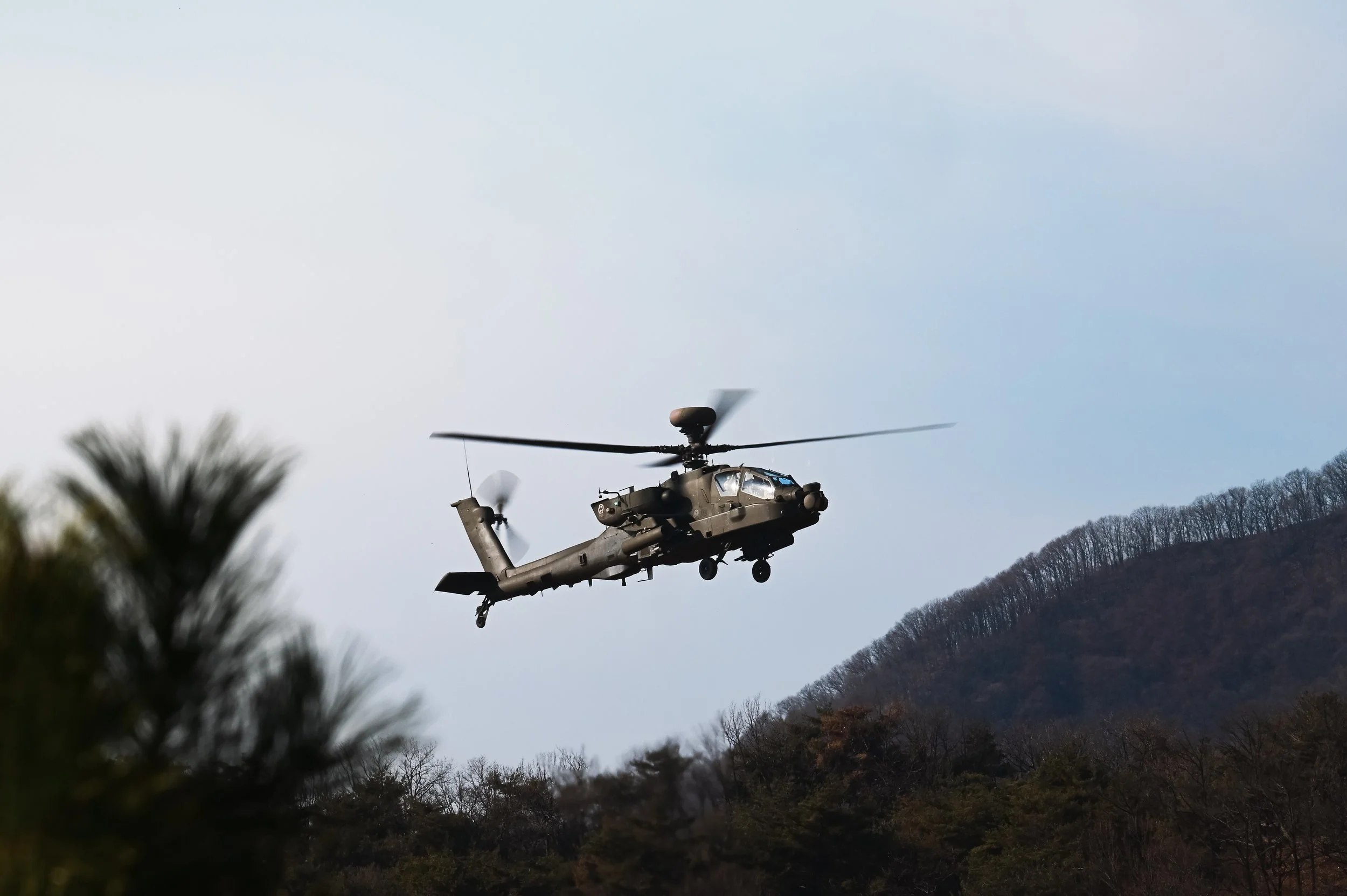 The Military