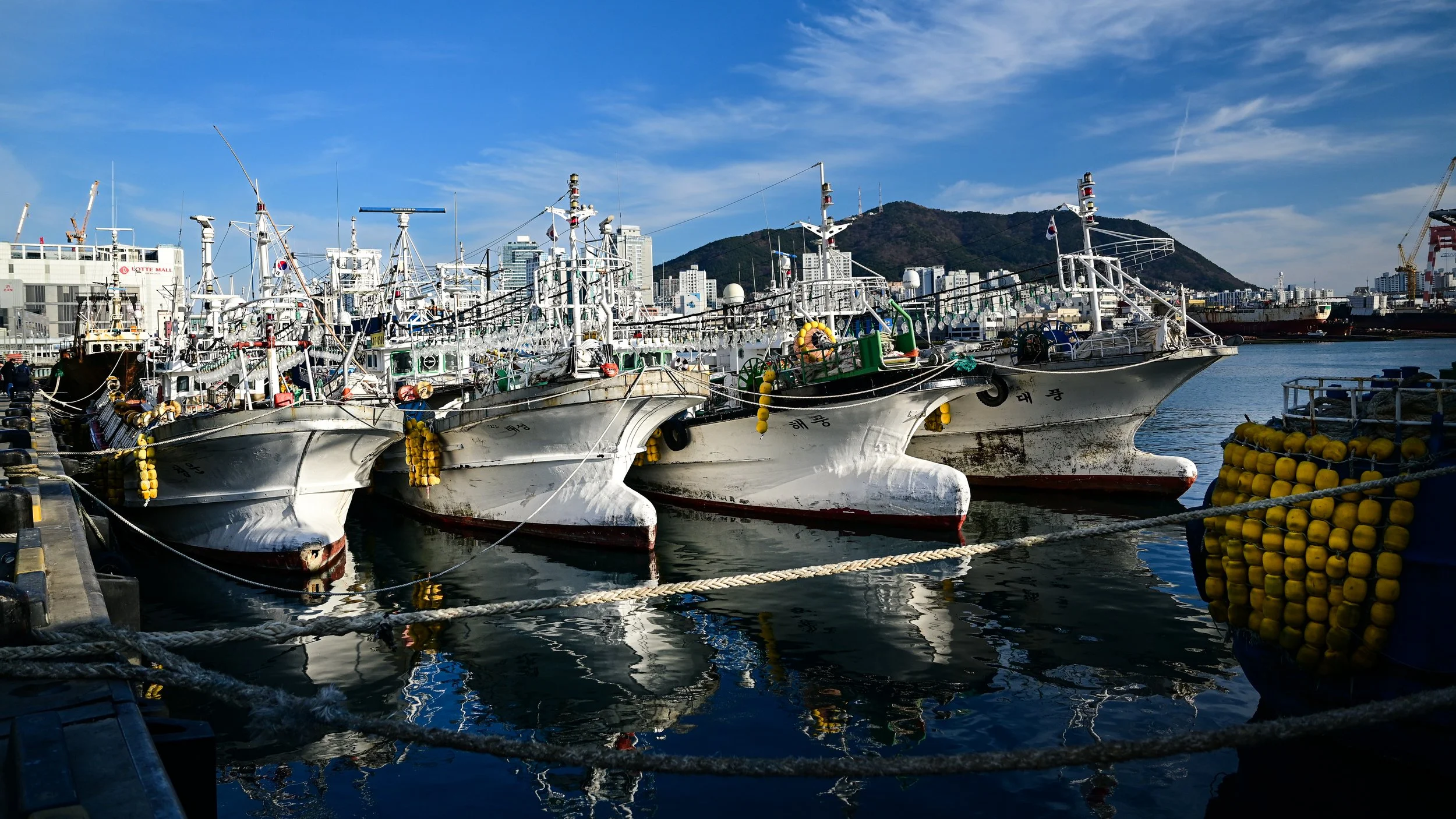 DSC_0620.jpg