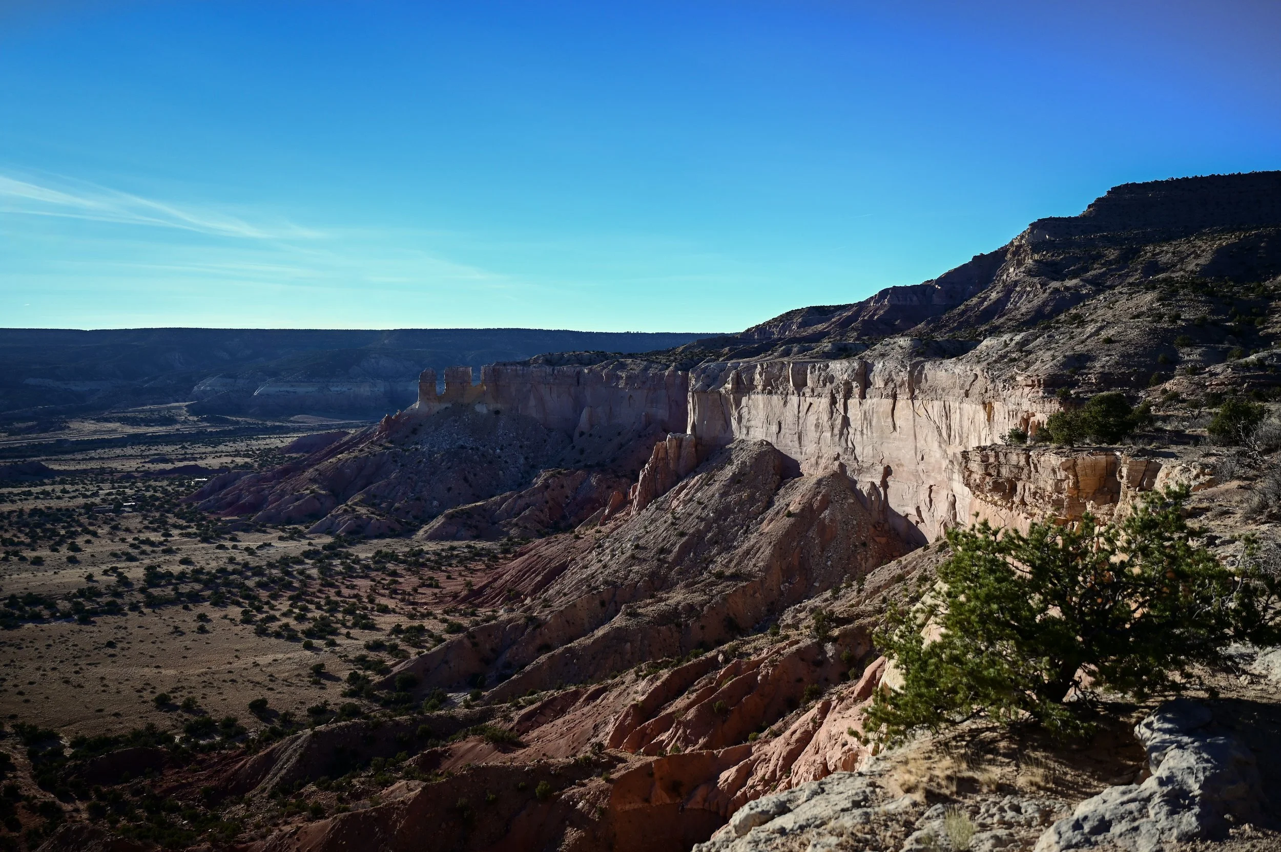 DSC_3444.jpg
