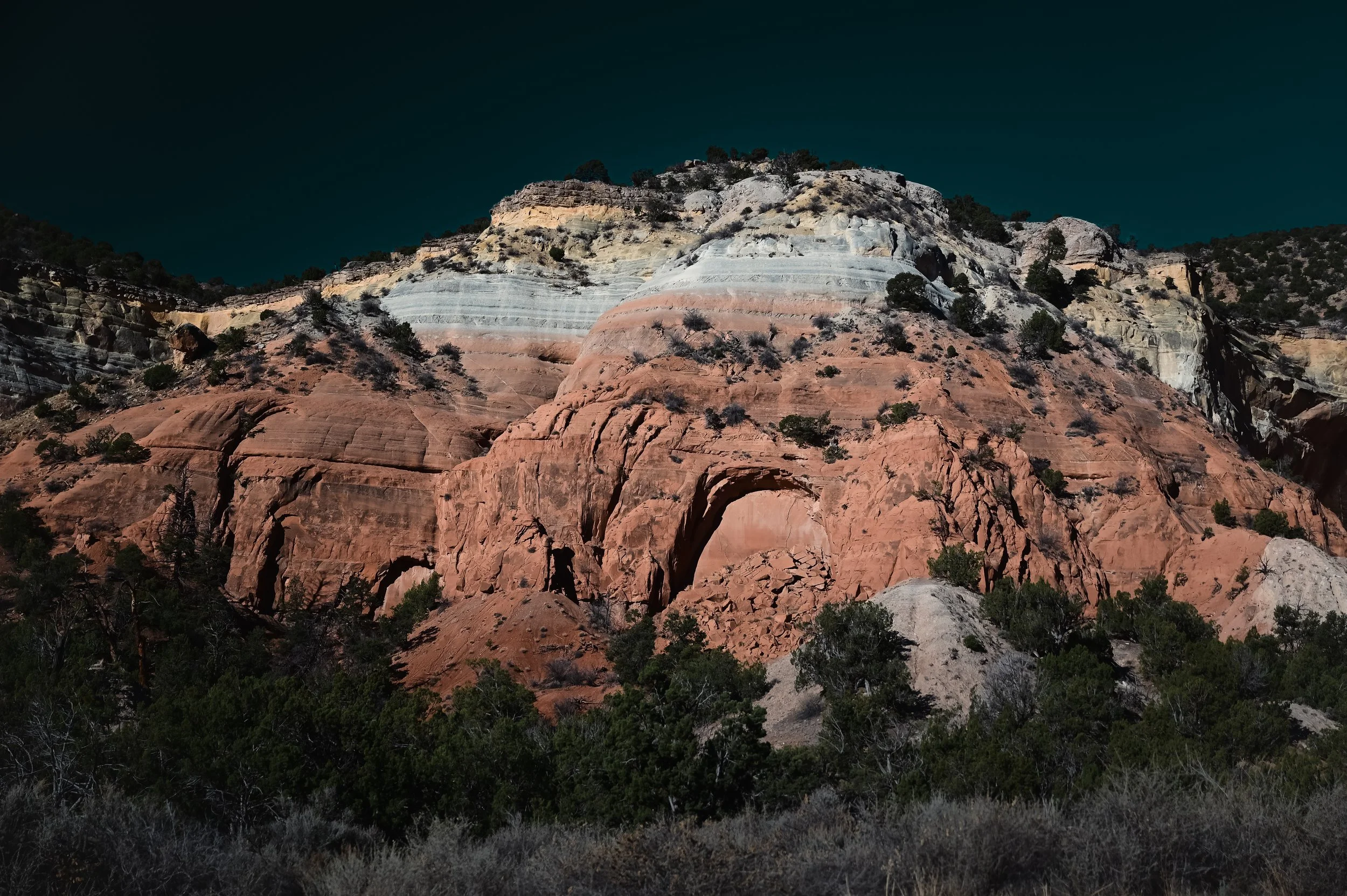 DSC_3668.jpg