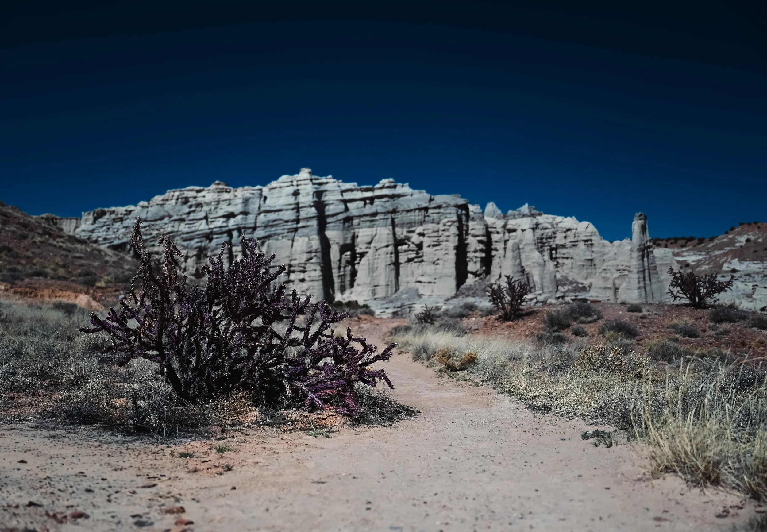DSC_3045.jpg