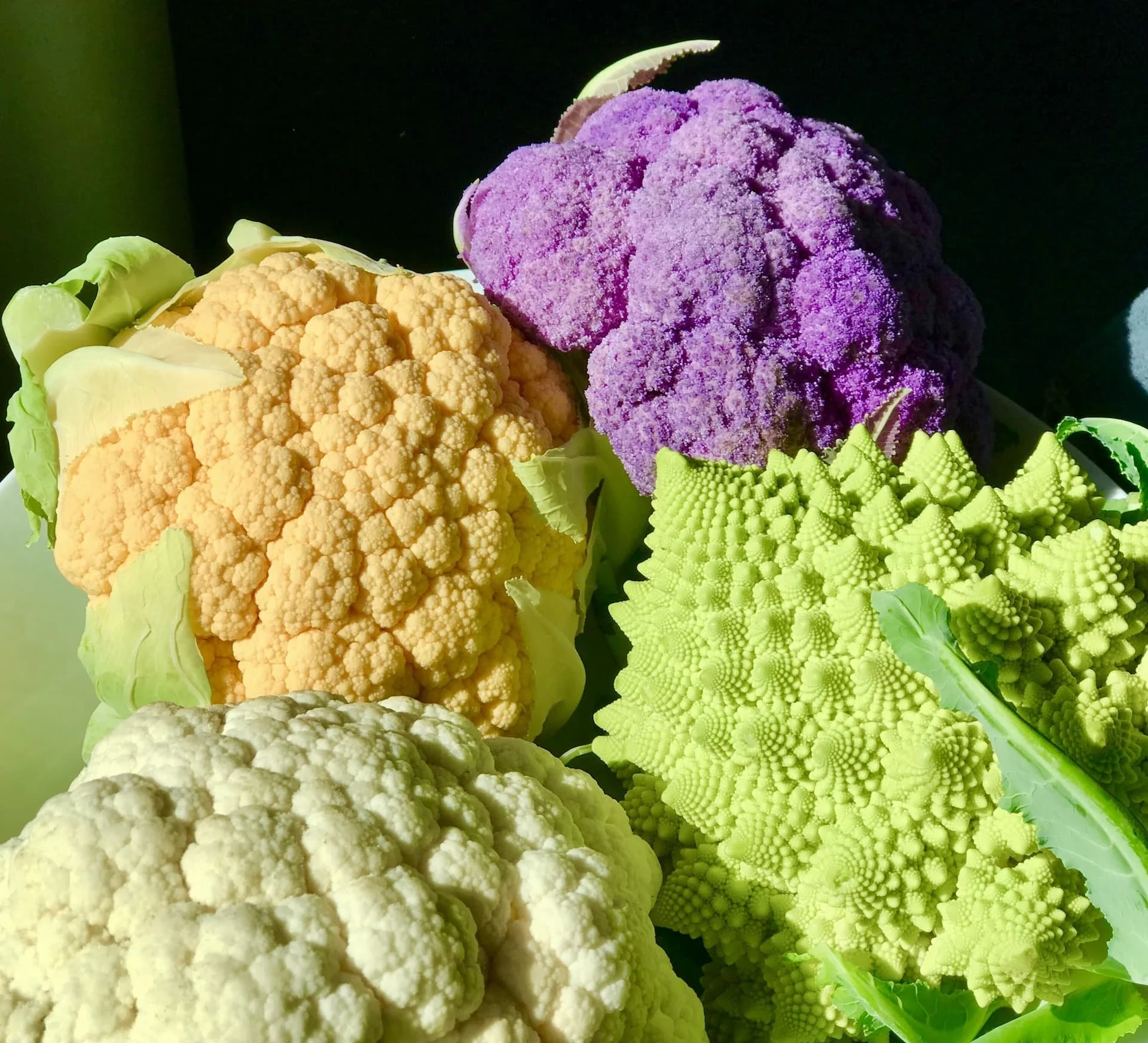 Various colorful cauliflowers including white, orange, purple, and Romanesco broccoli in daylight.