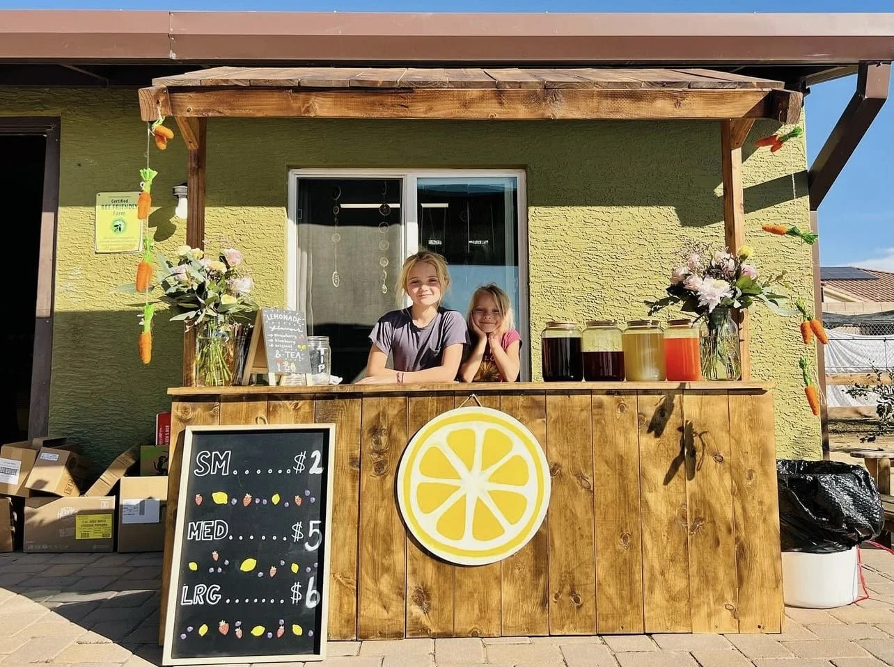 Two children at a wooden lemonade stand decorated with flowers and fake carrots, with jars of lemonade and a chalkboard menu.