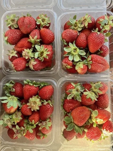 Four containers of fresh strawberries with green leaves.