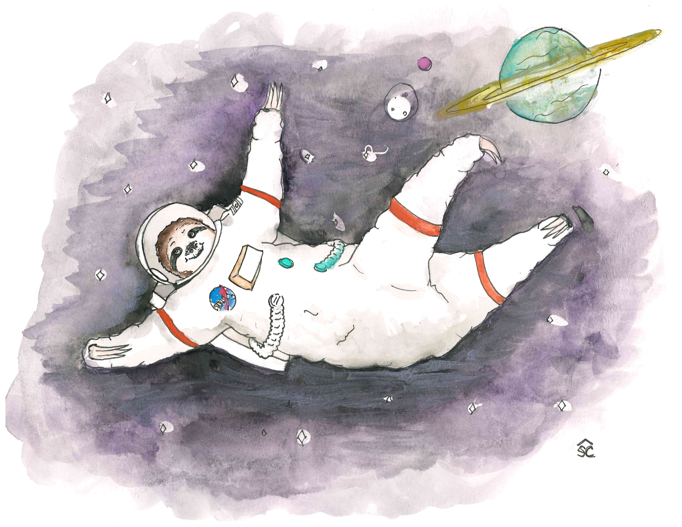 Space Sloth
