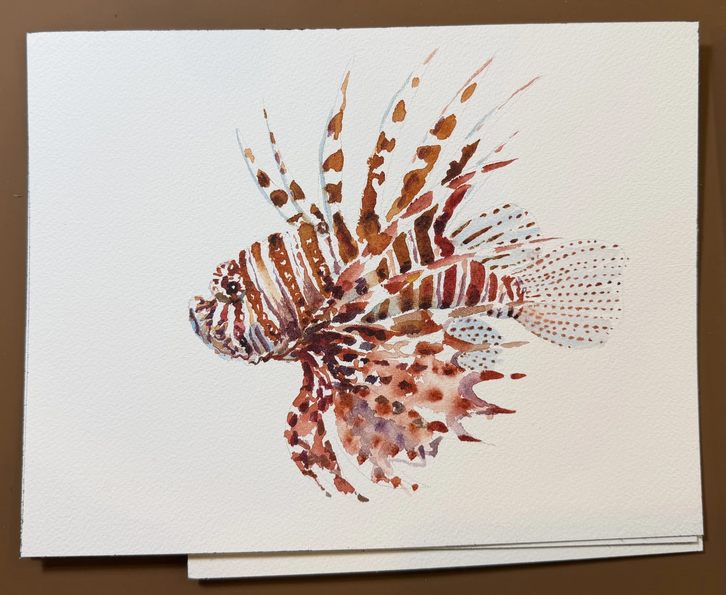 Lion Fish 03