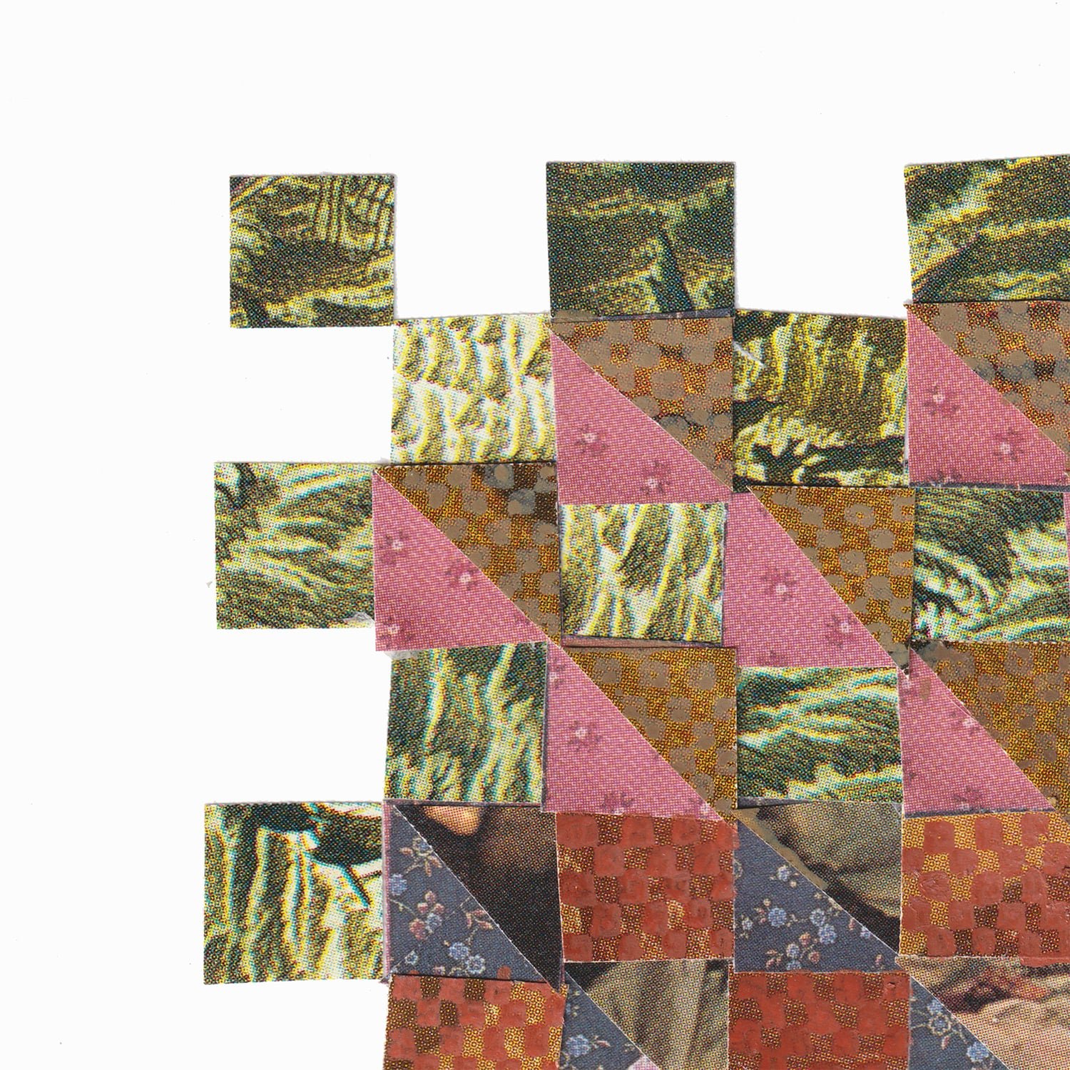 1_TurtleShell-3-Closeup.jpg