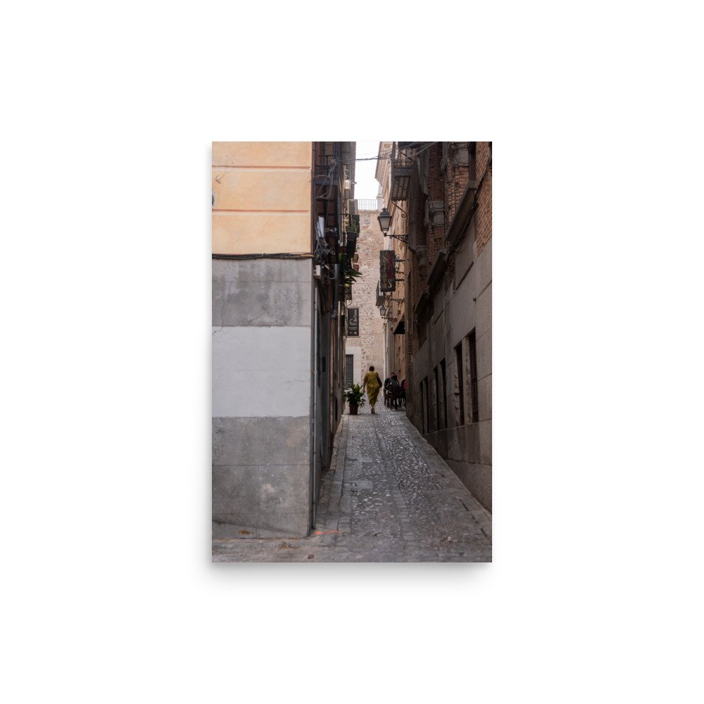 enhanced-matte-paper-poster-(in)-12x18-front-6796a203818bb.jpg