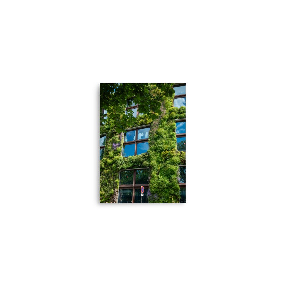enhanced-matte-paper-poster-(in)-5x7-front-6796a376872b2.jpg