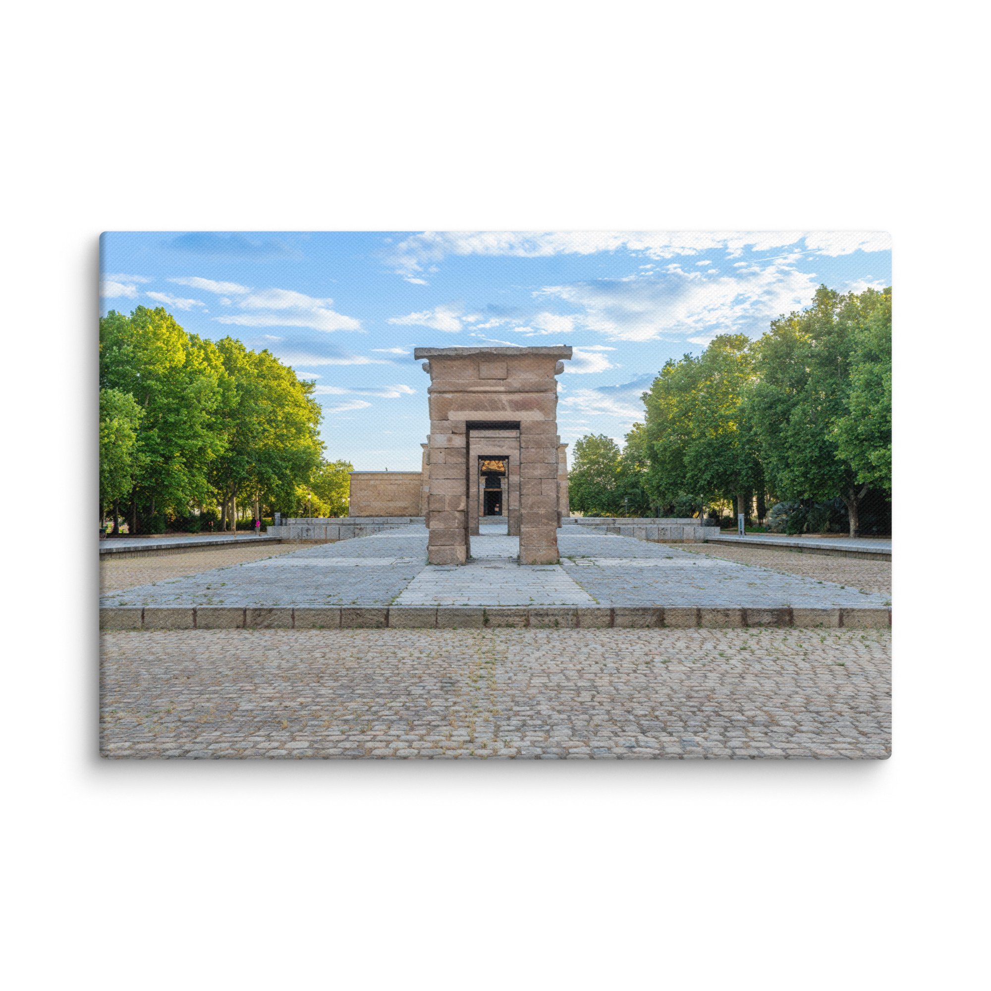 canvas-(in)-12x18-wall-679e9a4464414.jpg