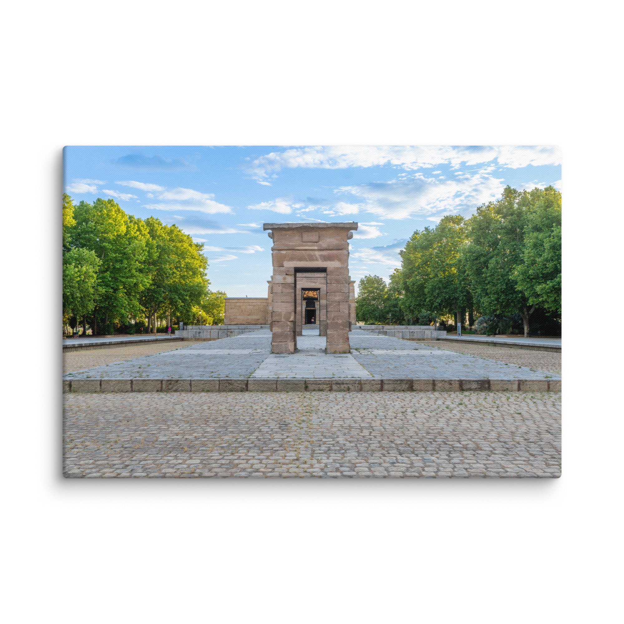 canvas-(in)-16x24-wall-679e9a446447b.jpg