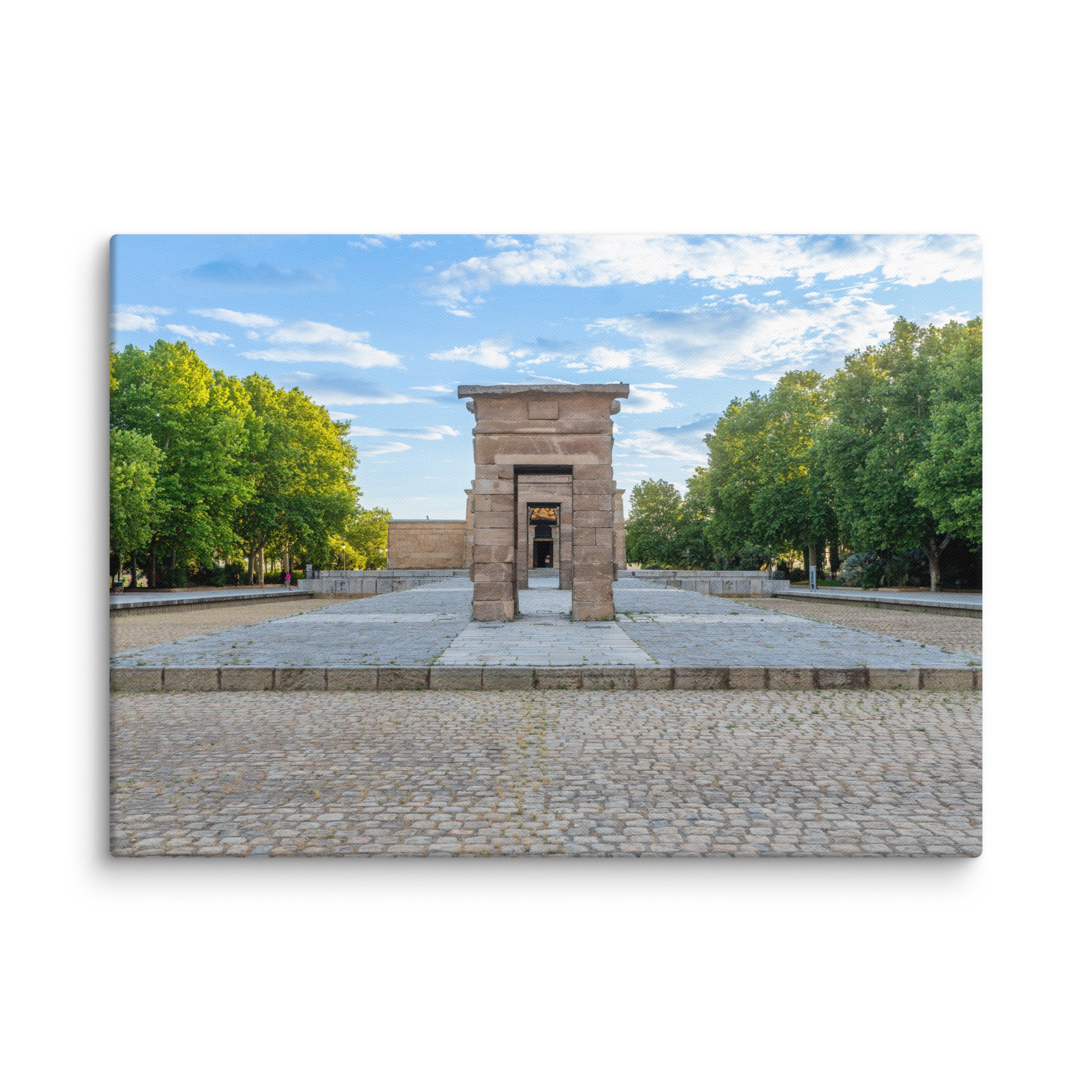 canvas-(in)-20x28-wall-679e9a4464512.jpg