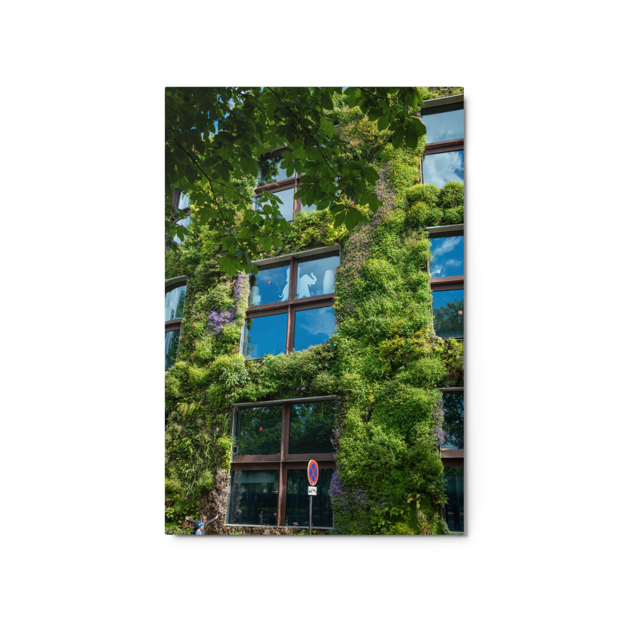 glossy-metal-print-(in)-white-20x30-front-679e9f1d30ce3.jpg