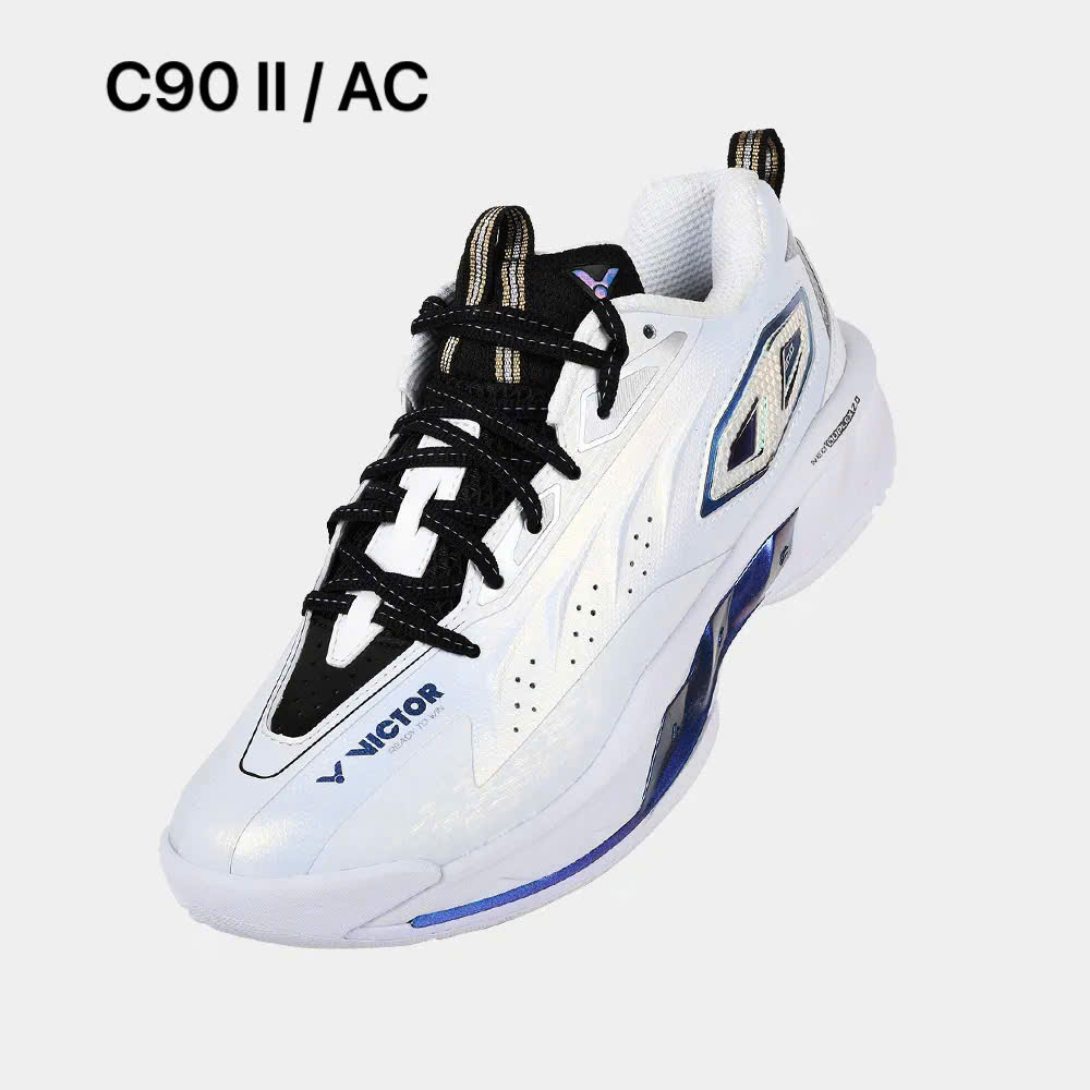 01_C90_II_AC.png