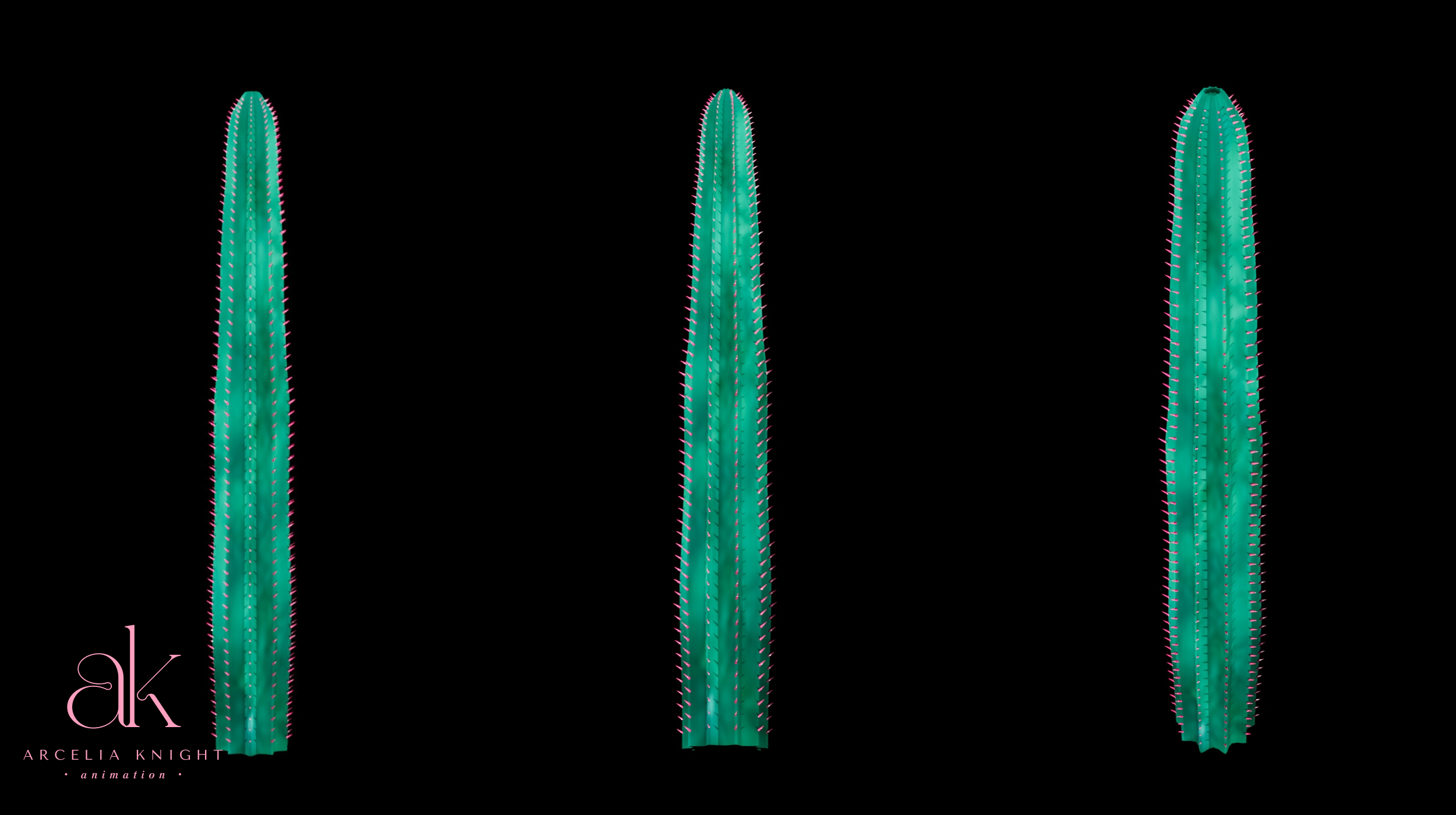 Tall Cactus