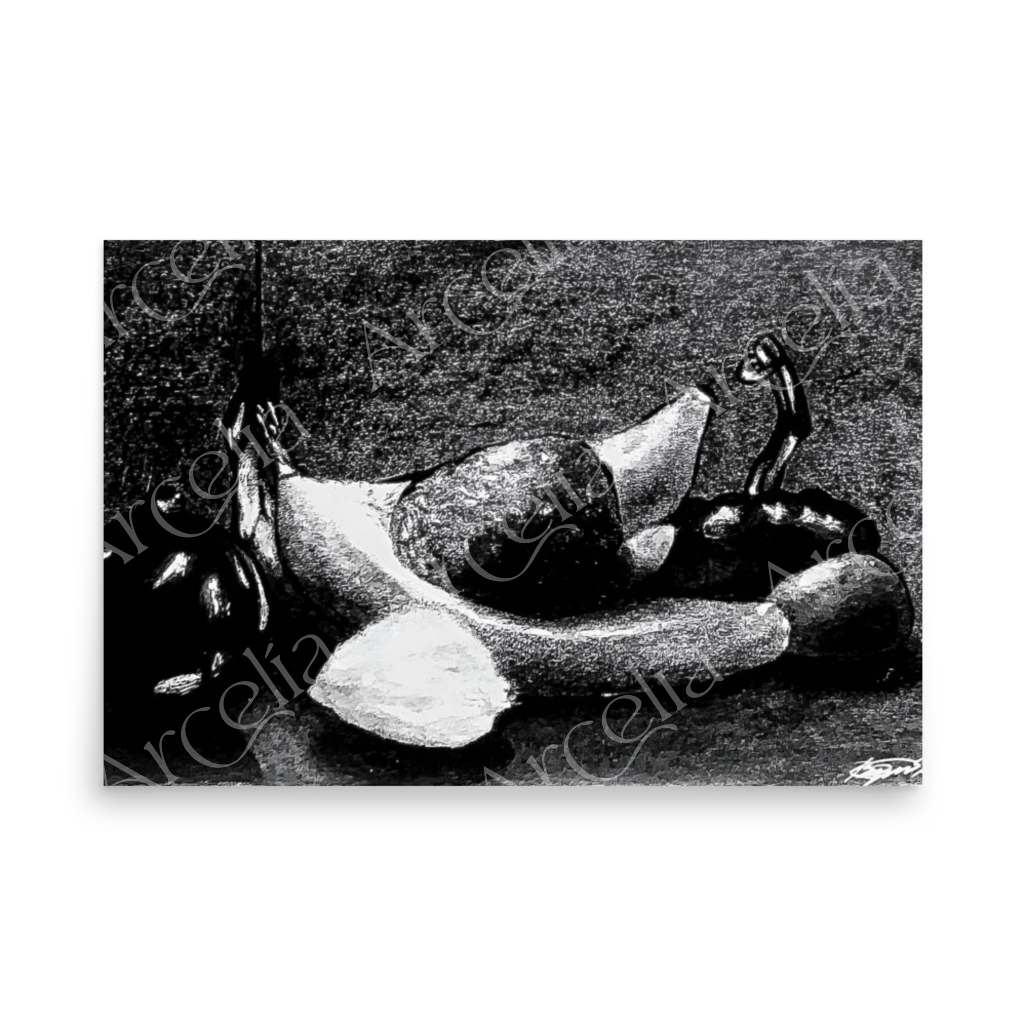 Fruit S.L. Vol. 2 Photo Print