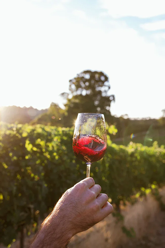 Wine Pairing w Fearon Wine