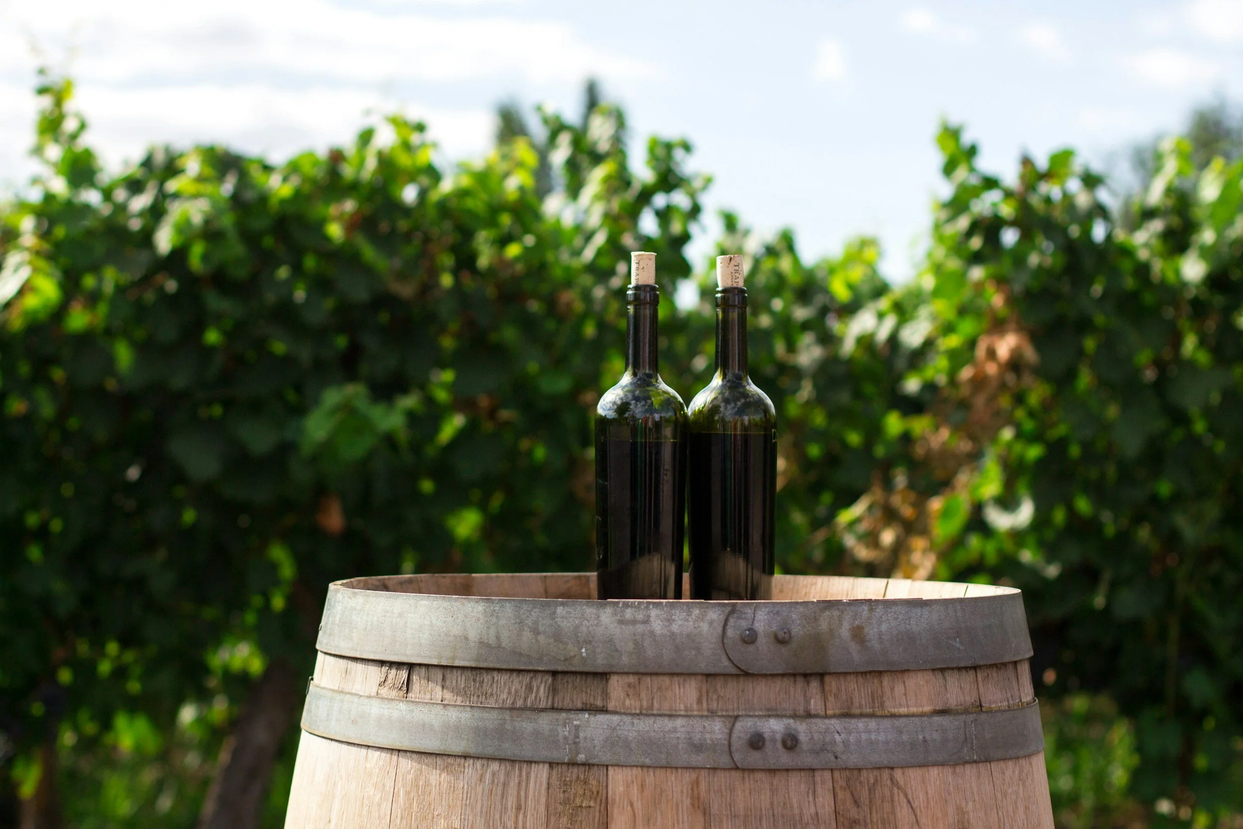 Wine Pairing w Ferguson Falls Wines