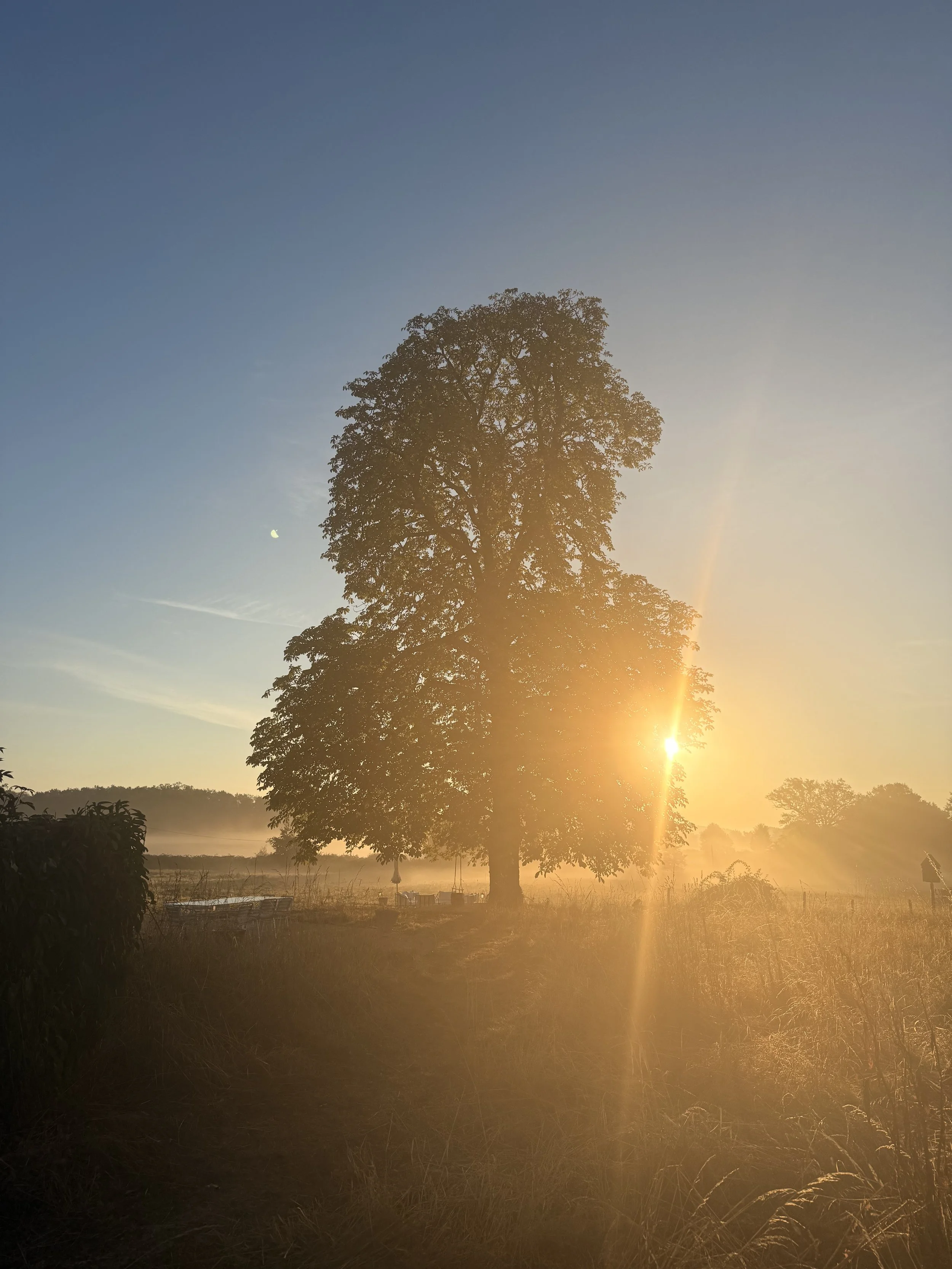 Chateau du Creuset sunrise