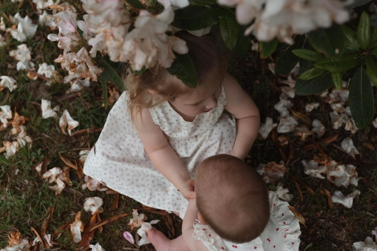 Those little moments between siblings that you don&rsquo;t think are much at the time until its the last time..
&bull;
&bull;
Marizza is a Blue Mountains maternity and family photographer for the wildly adventurous at heart. Her sessions are nature-l