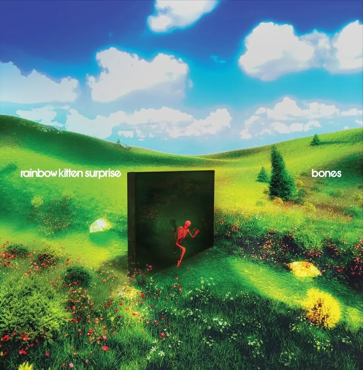 Cover Art for "Rainbow Kitten Surprise" ( Graphic Design + Animation)