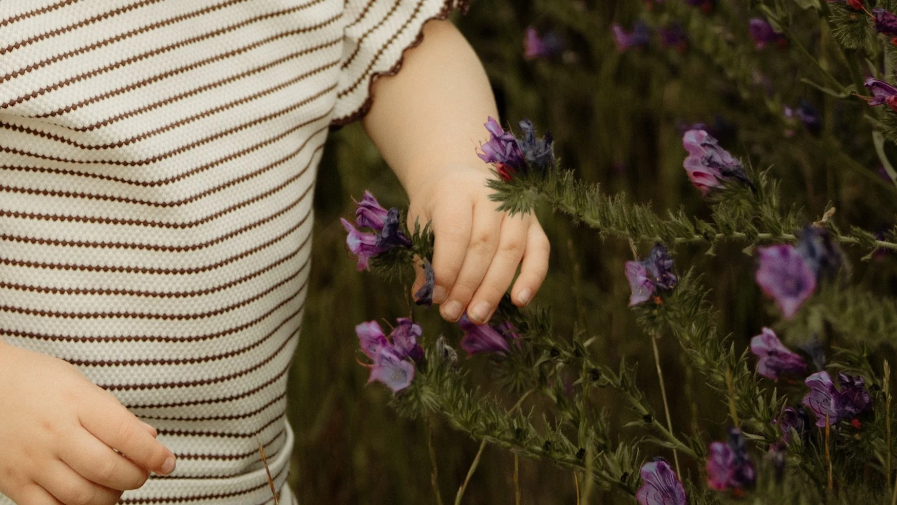 Caversham, WA. 6055.