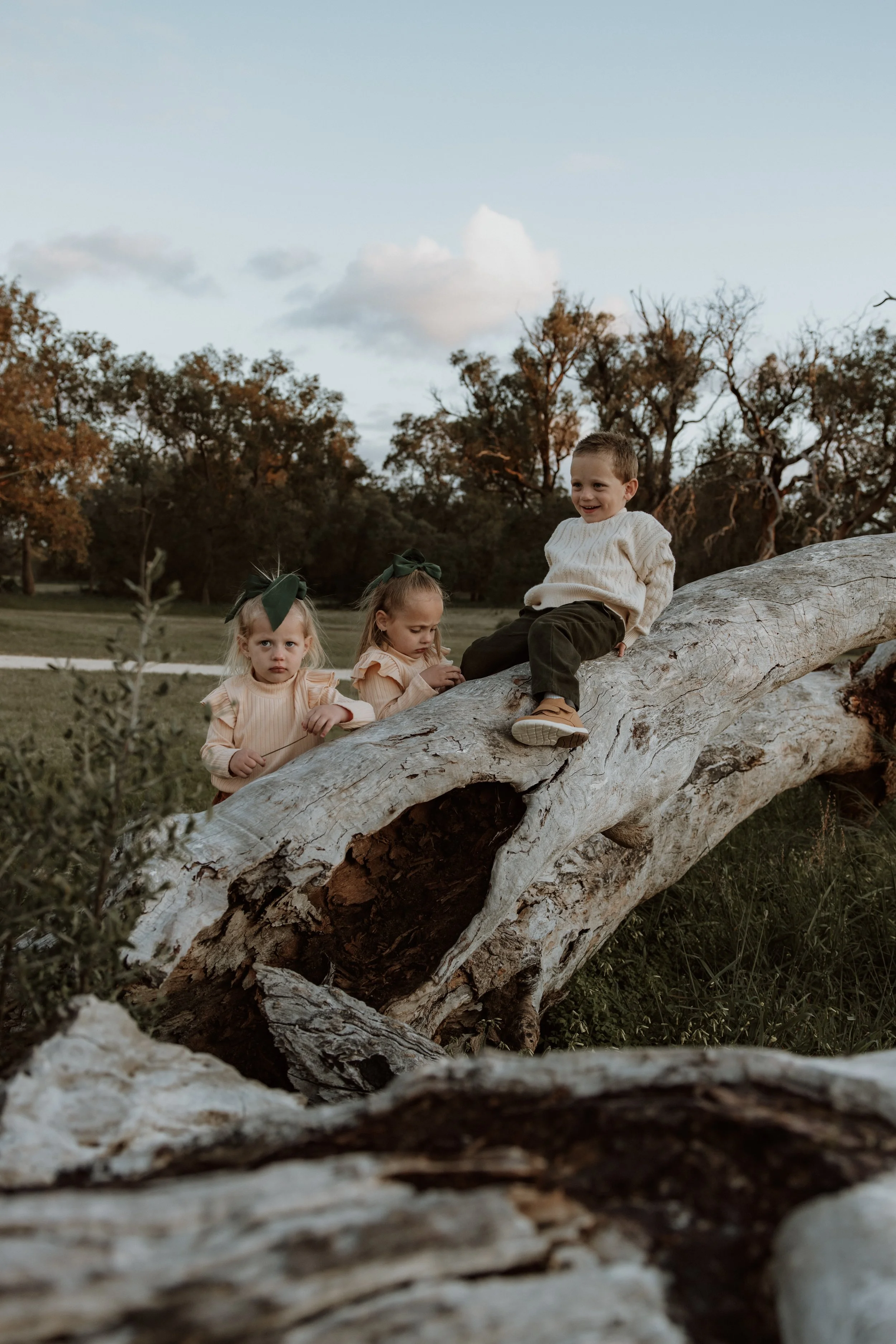 Three children sitting and playing on a large fallen tree in a park with trees and a cloudy sky in the background.