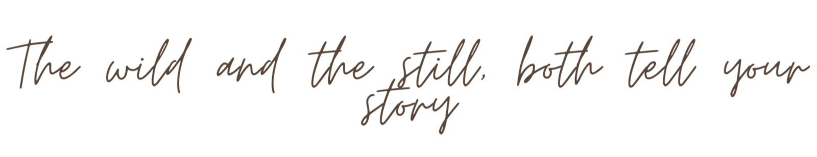 Maternity, pregnancy and newborn baby photoshoot packages review