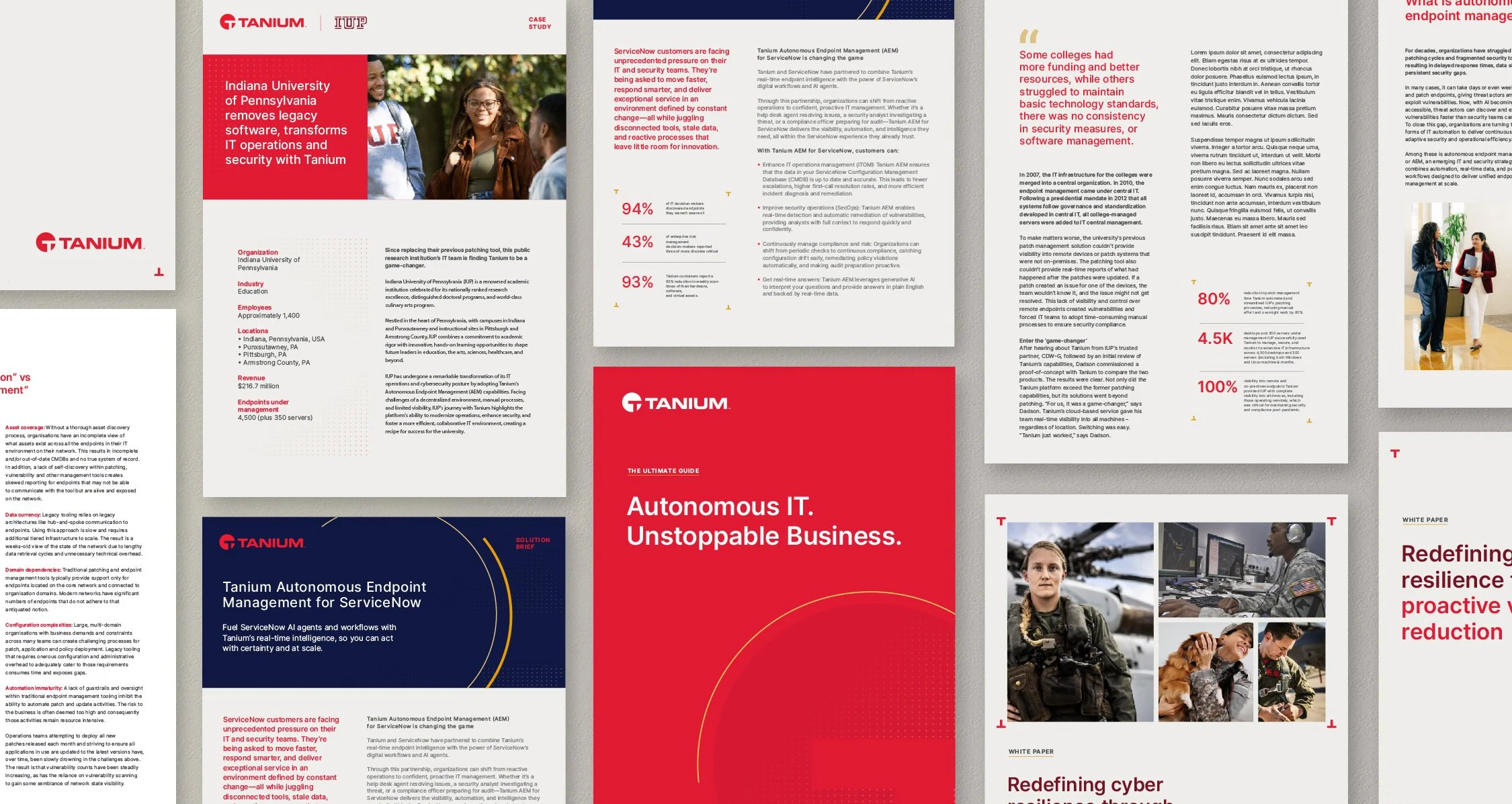 __Tanium_Page_Visuals_L13.jpg