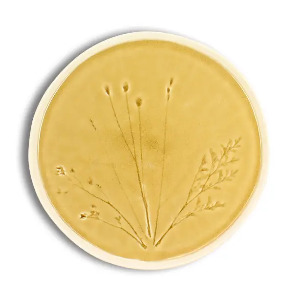 image (480).png