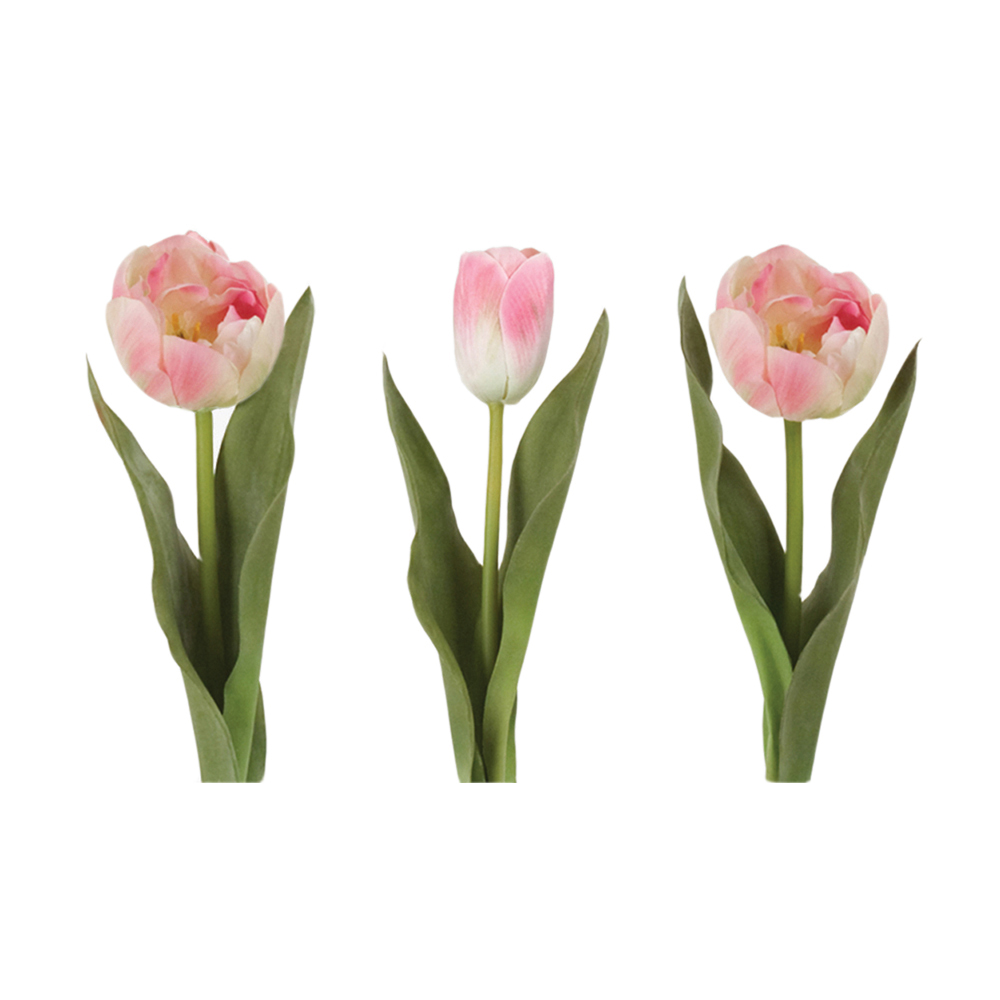 image (451).png