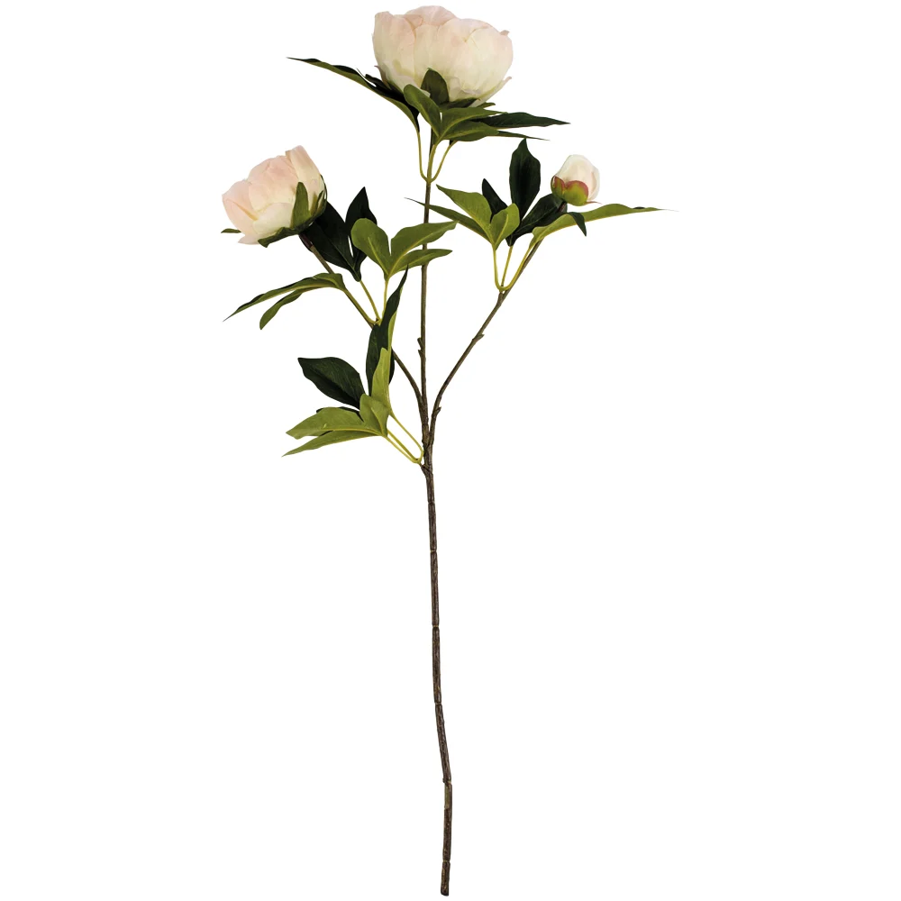 image (373).png