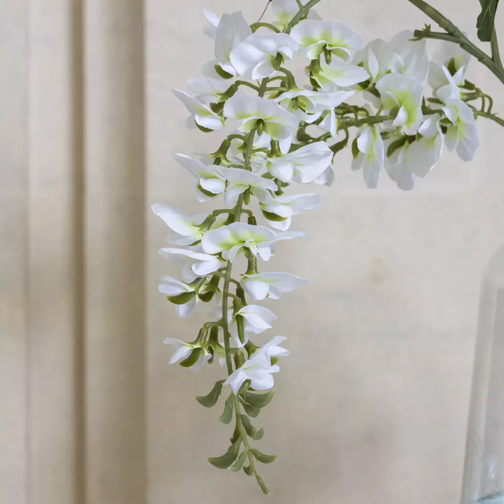image (396).png