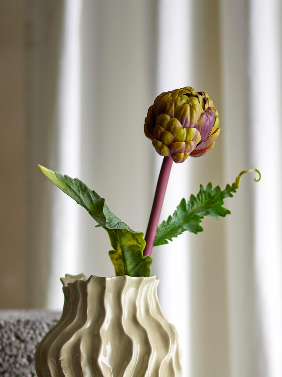 Protea Stem, Closed
