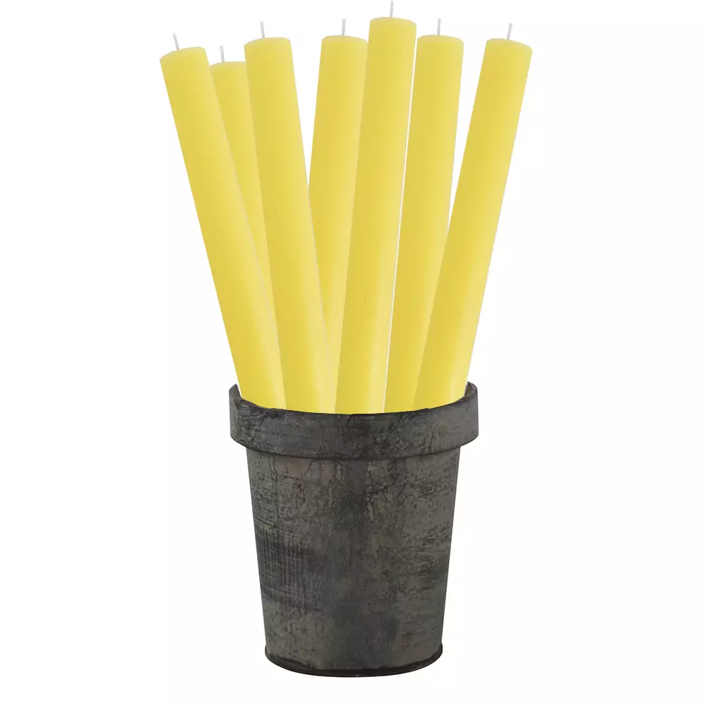 image (409).png