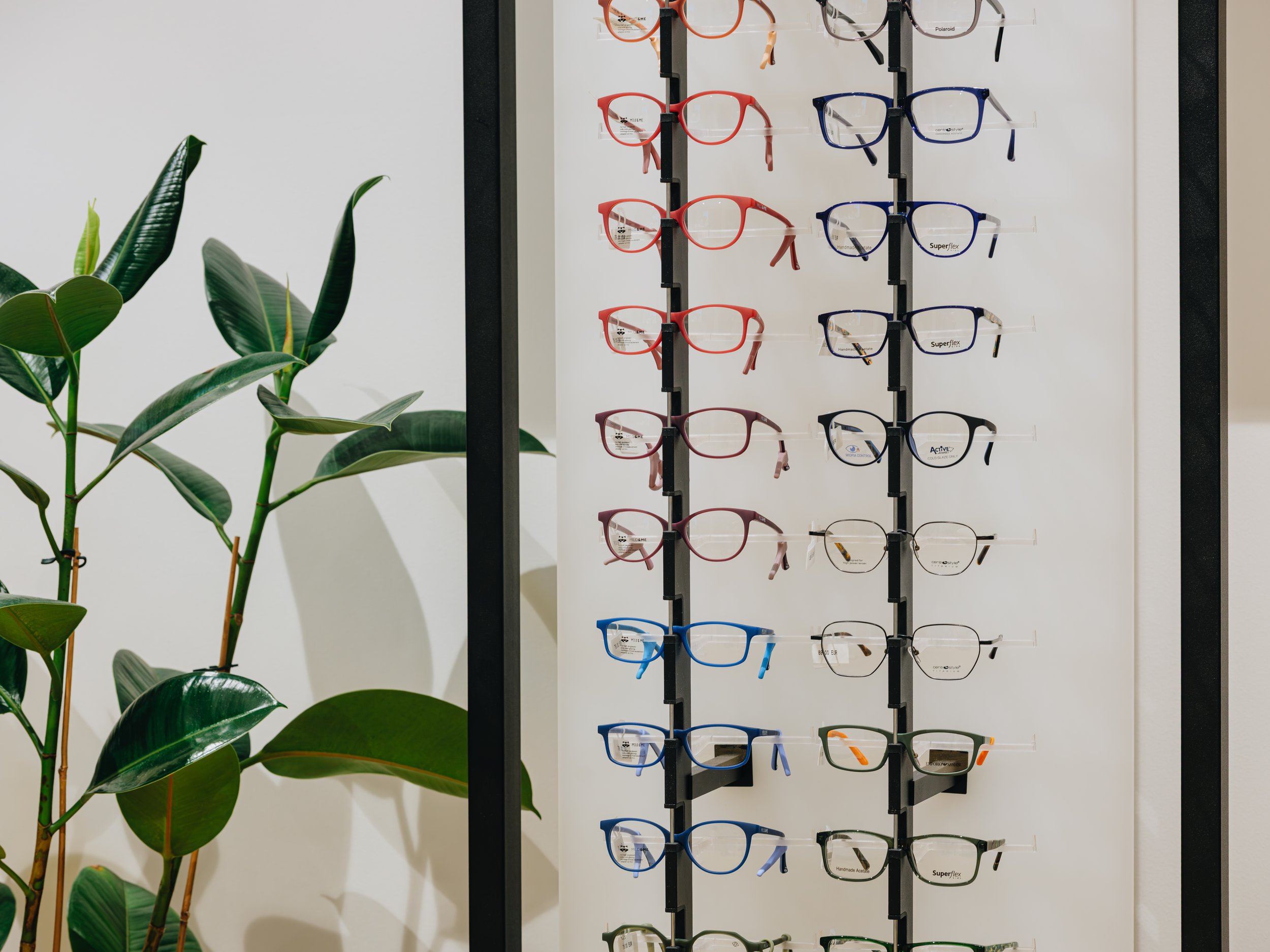 Kuidas hooldada prille aastaringselt?