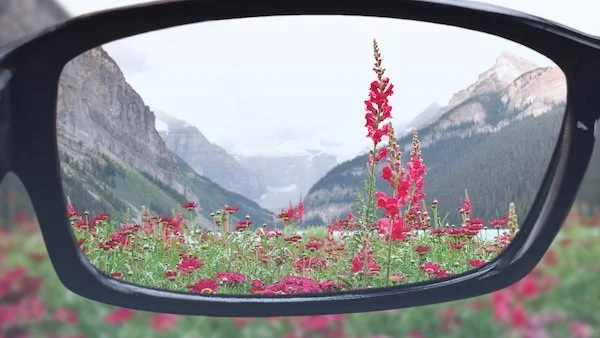 clarity - seeing flowers clearly through glasses