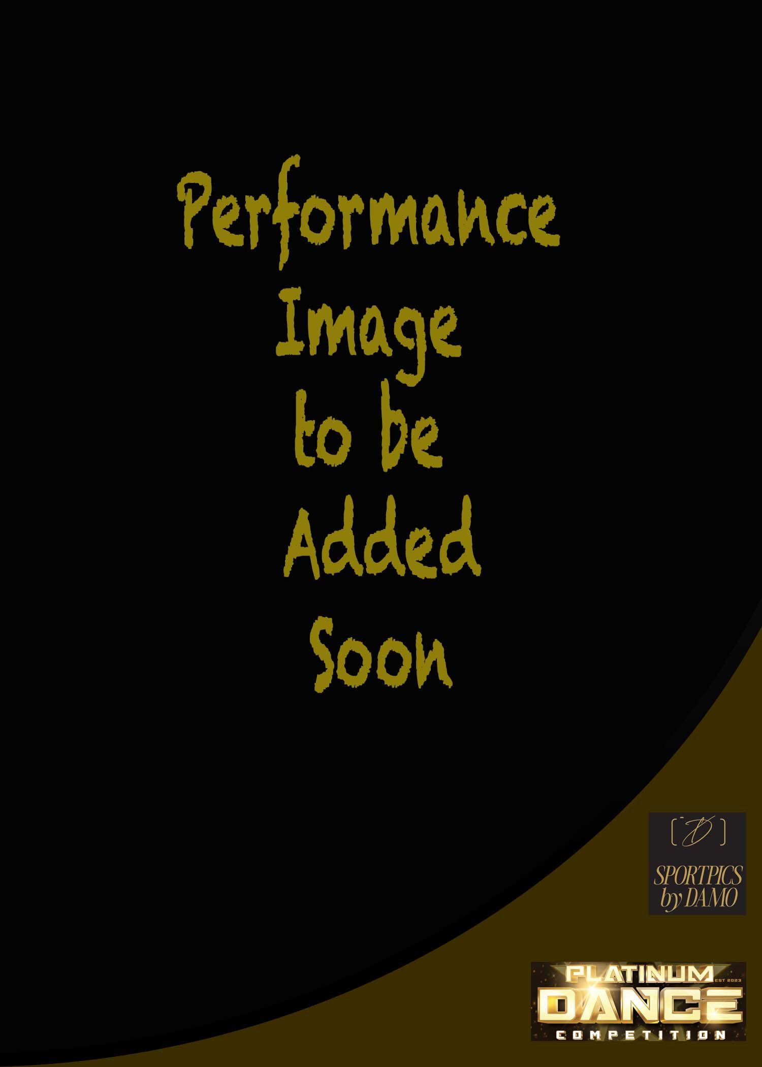 Performance to be added.jpg (Copy)