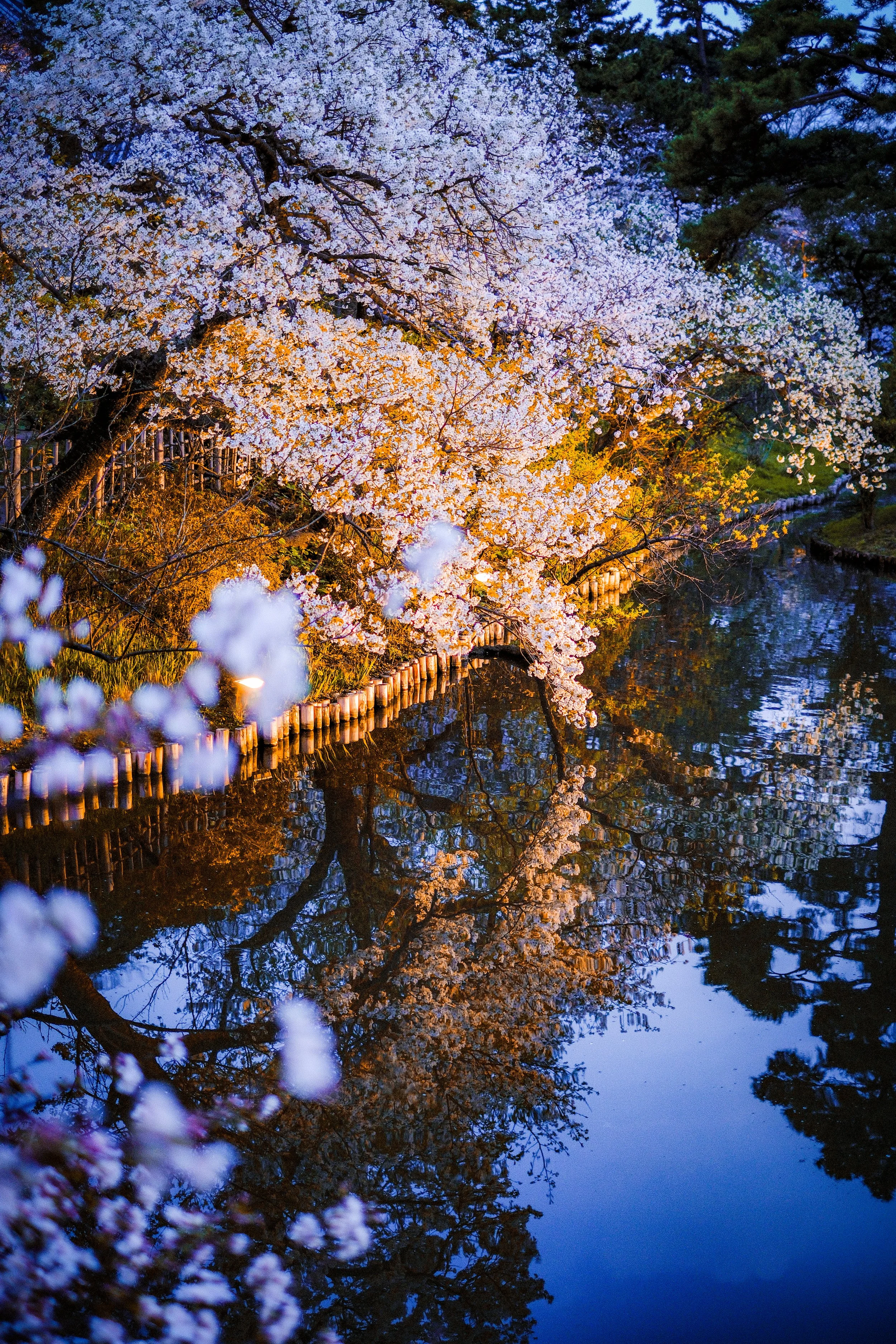 Sankeien-1.jpg