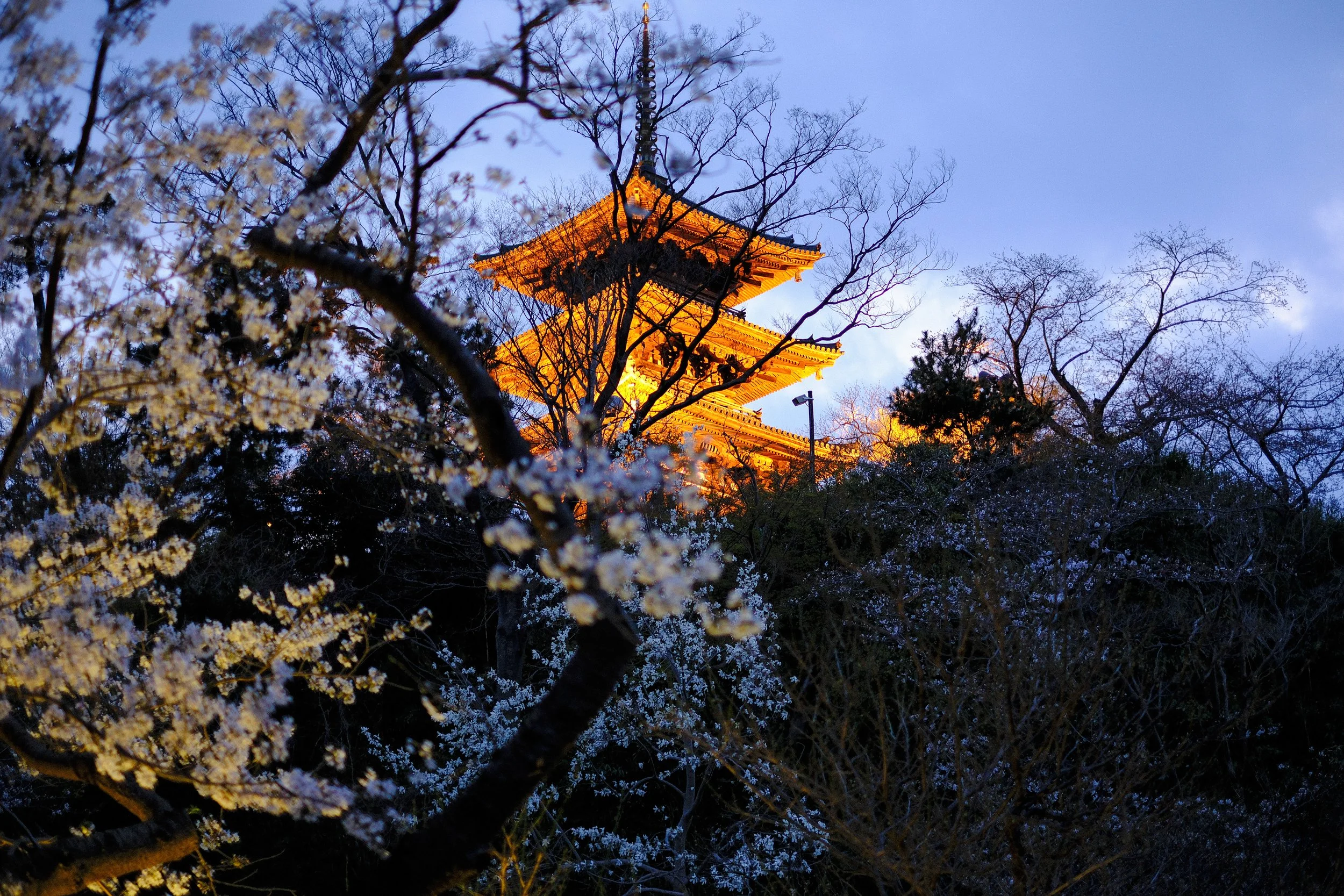 Sankeien-4.jpg