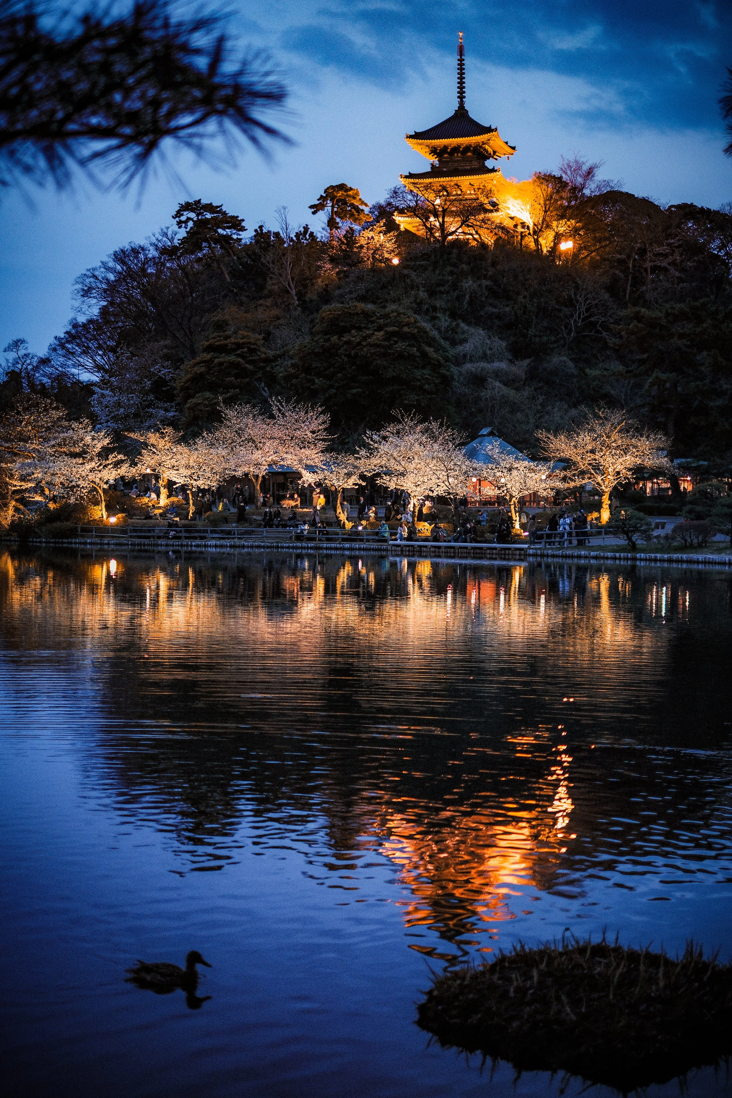 Sankeien-6.jpg