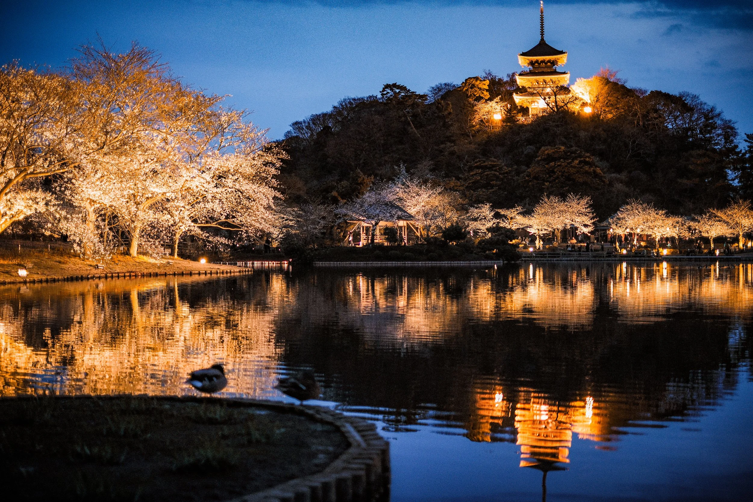 Sankeien-7.jpg