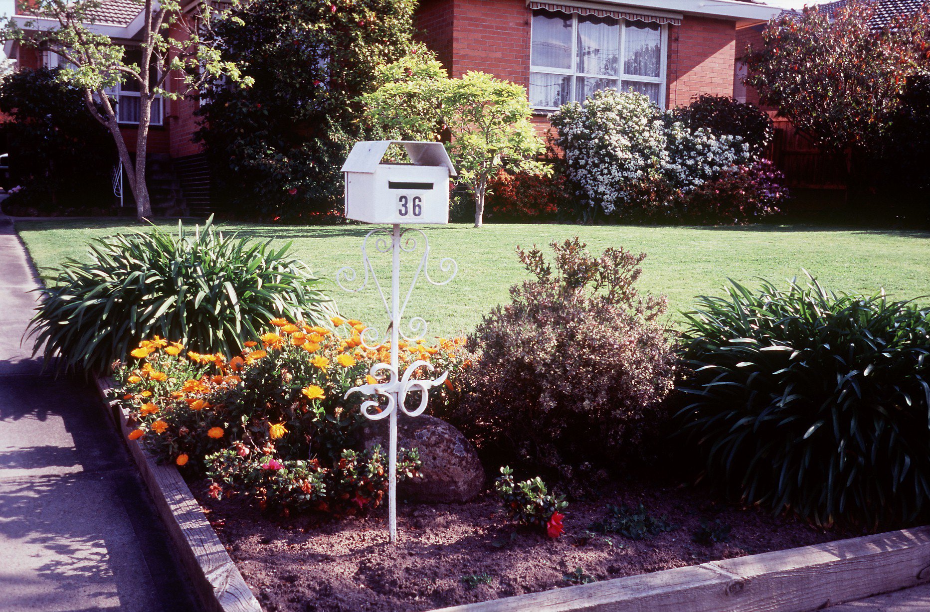 LEICA minilux-21.jpg