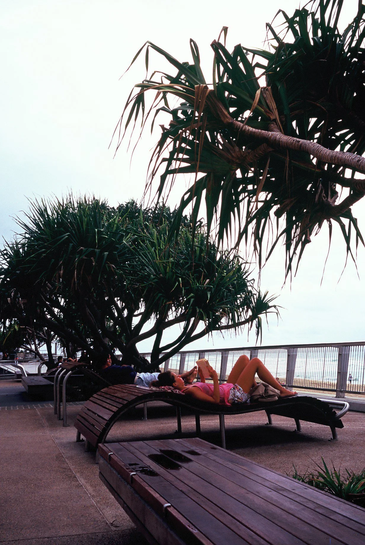 LEICA minilux-80.jpg