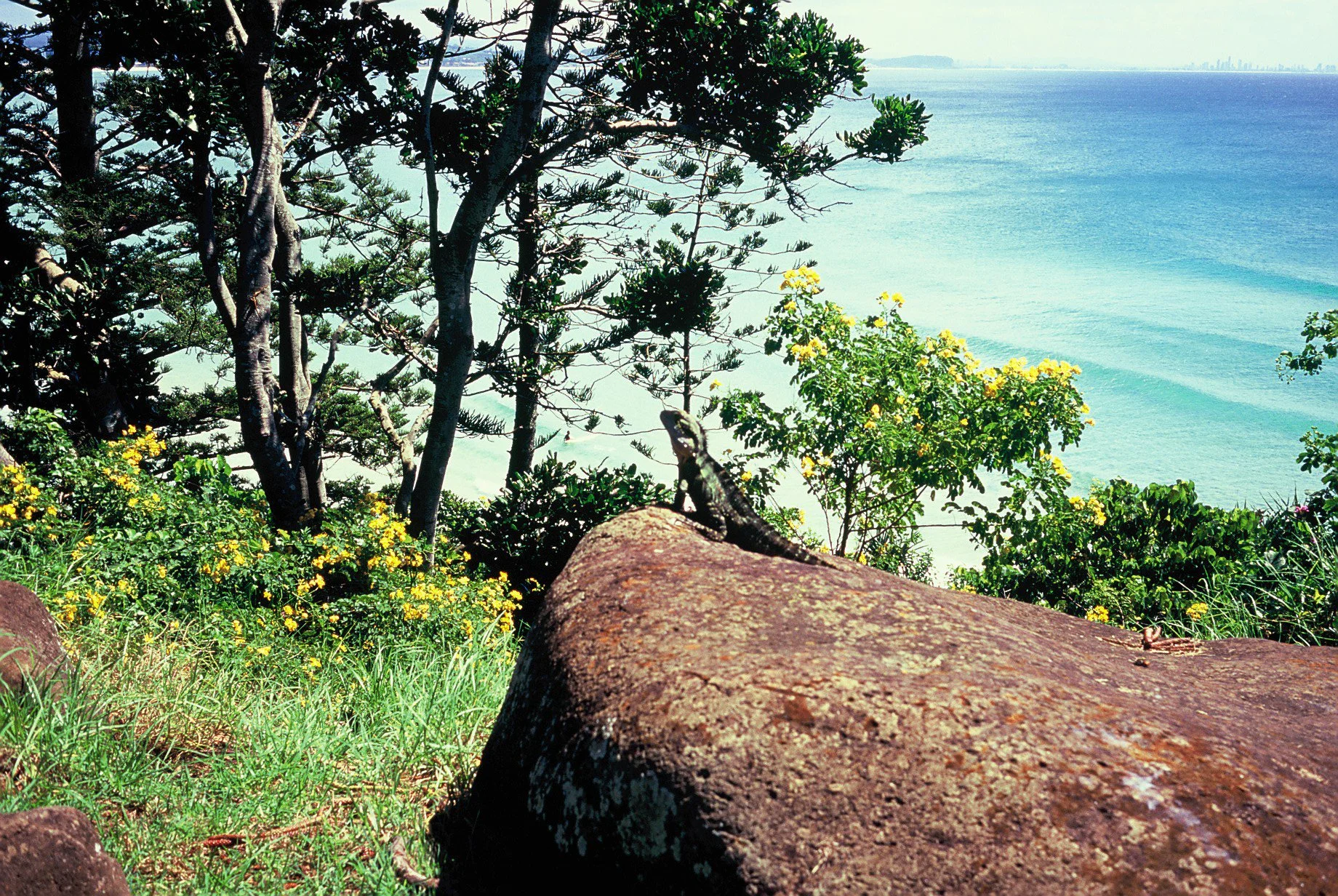 LEICA minilux-83.jpg