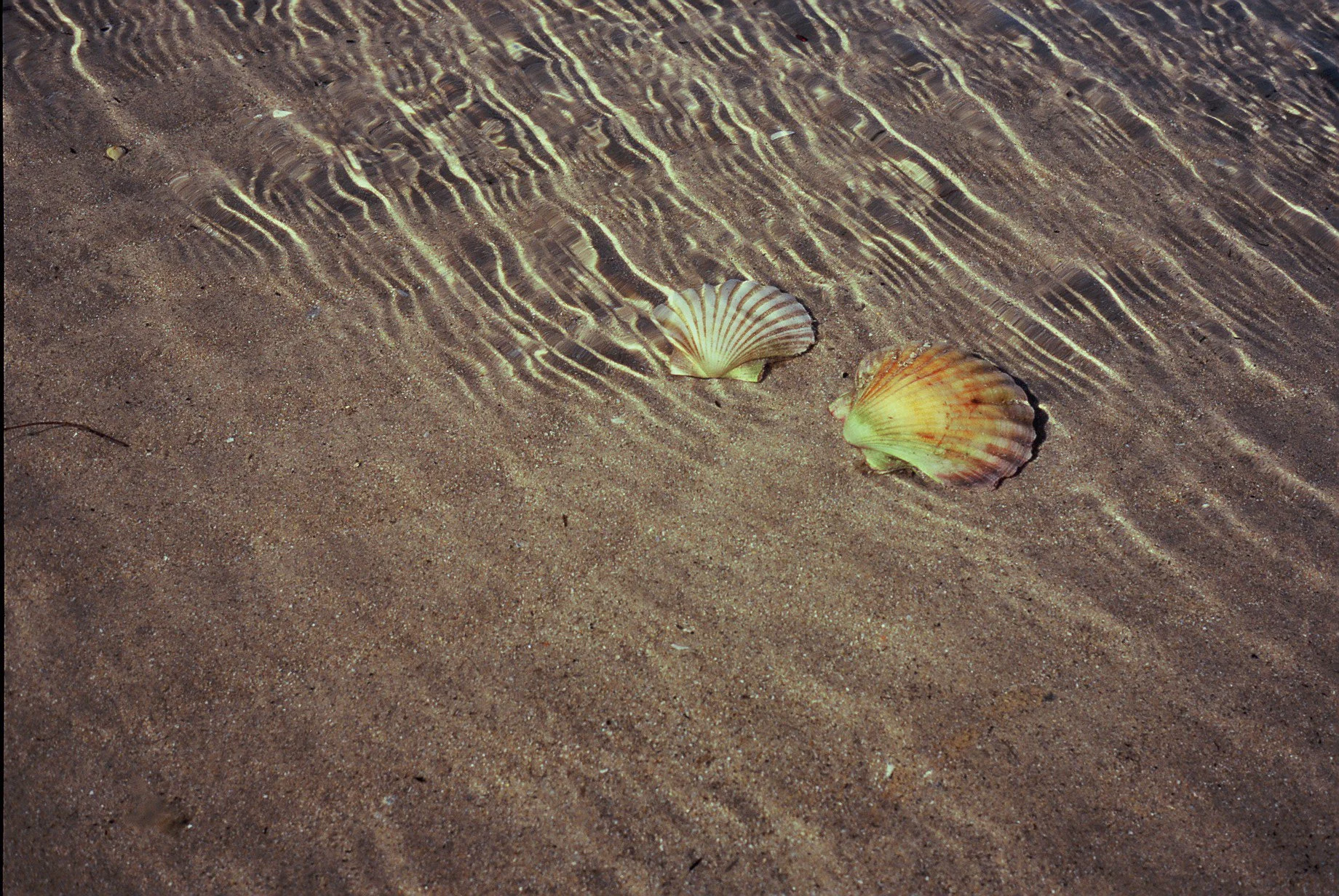 LEICA minilux-50.jpg