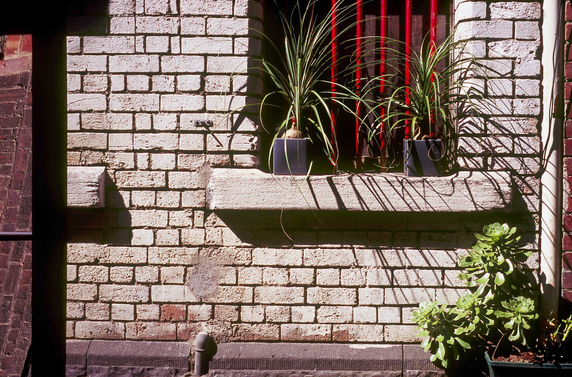 LEICA minilux-10.jpg