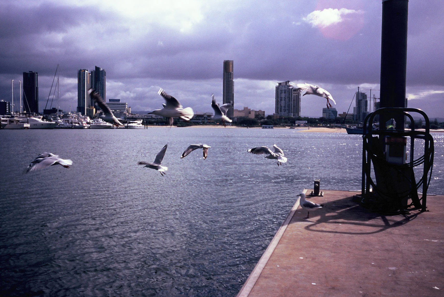 LEICA minilux-68.jpg