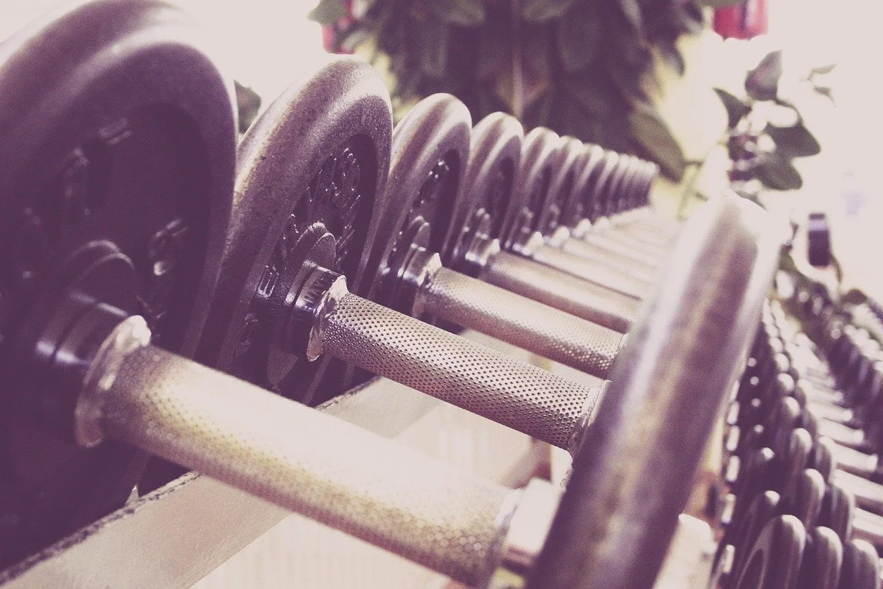 A row of black dumbbells with metallic handles arranged on a gym rack.
