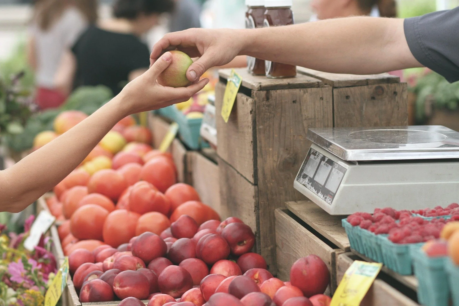 Person handing an apple to a customer at a fruit stand in a grocery store.
